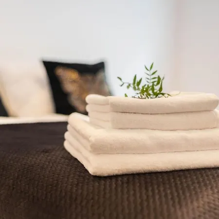 公寓 Stylish 3city With Parking In By Renters *